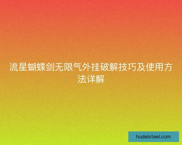 流星蝴蝶剑无限气外挂破解技巧及使用方法详解 流星蝴蝶剑无限气外挂破解技巧及使用方法详解
