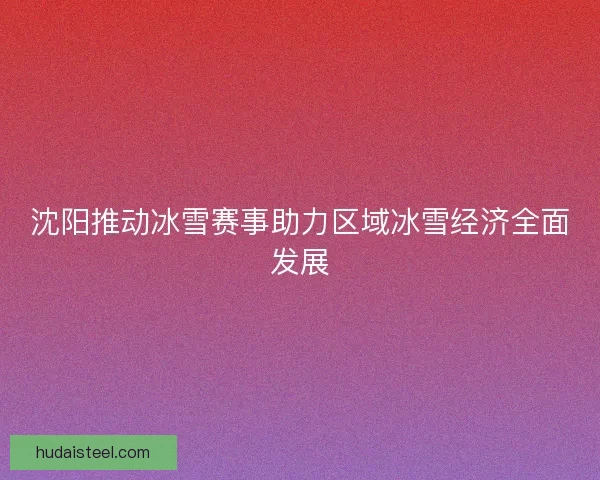 沈阳推动冰雪赛事助力区域冰雪经济全面发展